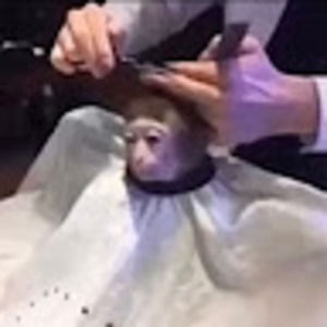 Meet your Posher, Emmanuel